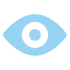 apm-vision-icon